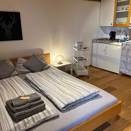 Sonnenuntergang Apartment Траунщайн Екстериор снимка